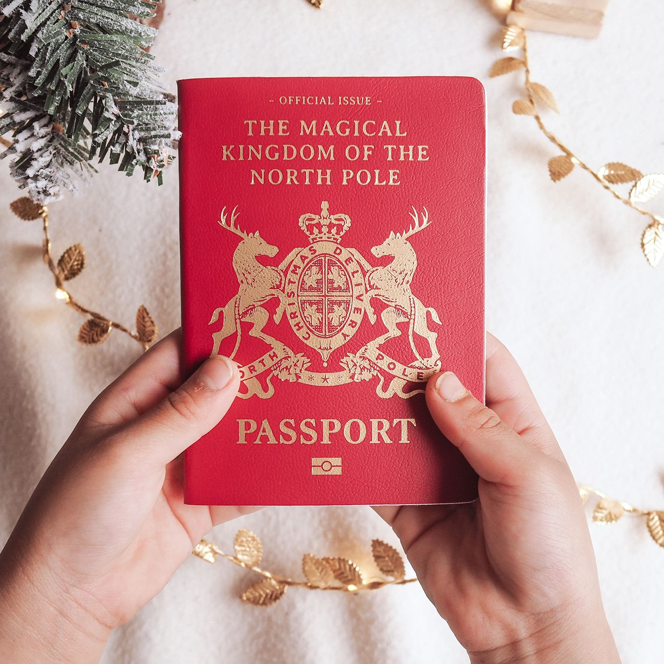 Santa’s Magical Passport