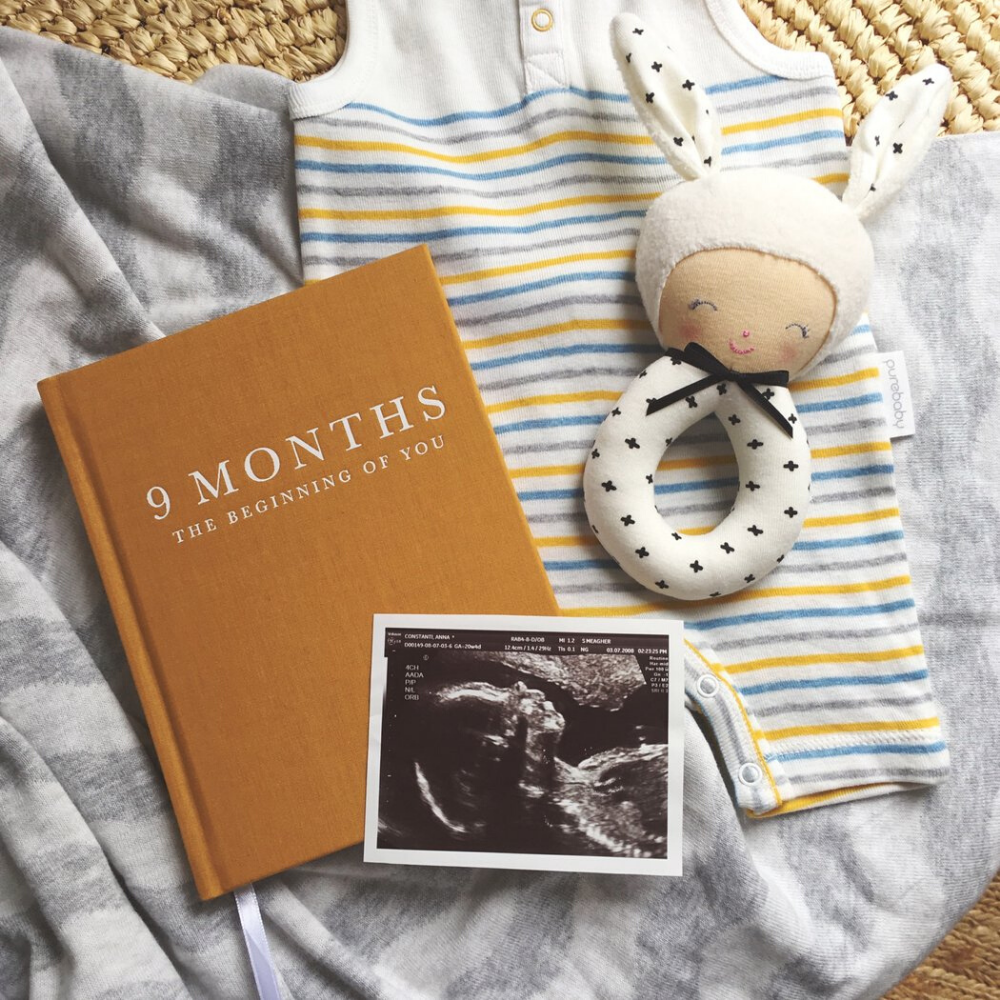 9 Months 'The Beginning of You' - Pregnancy Journal